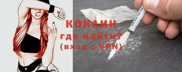 крисы Баксан