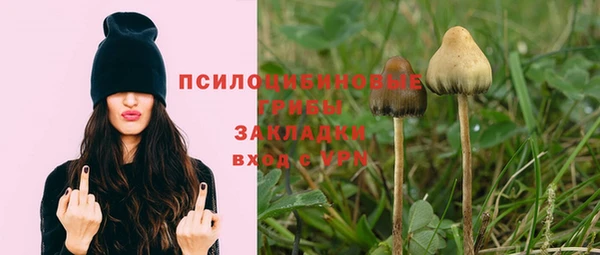 крисы Баксан