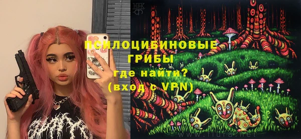 крисы Баксан