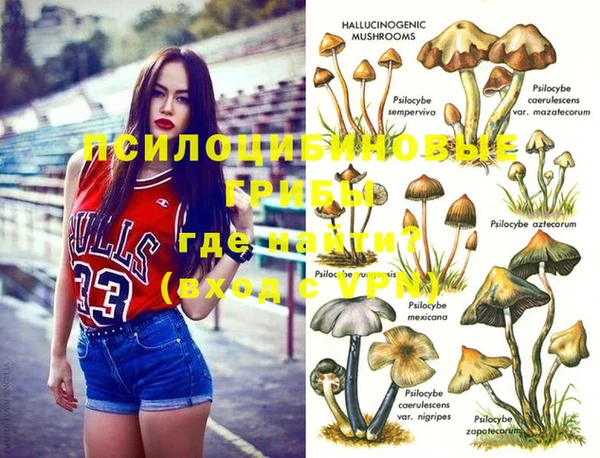 spice Балабаново