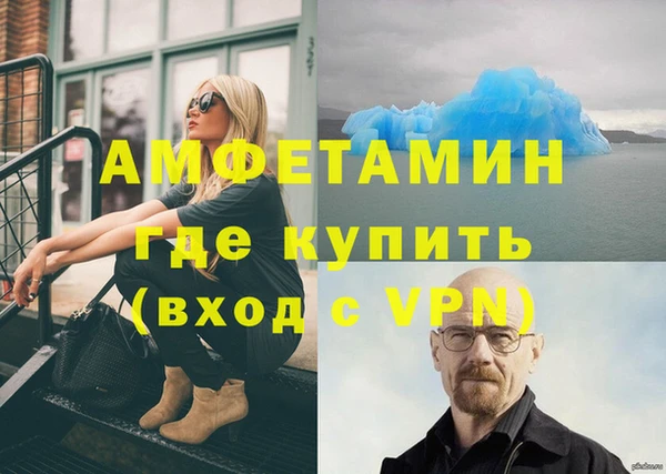 крисы Баксан