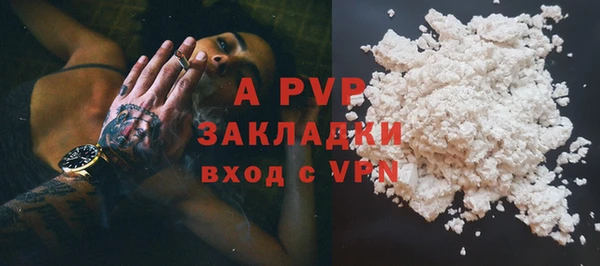 крисы Баксан