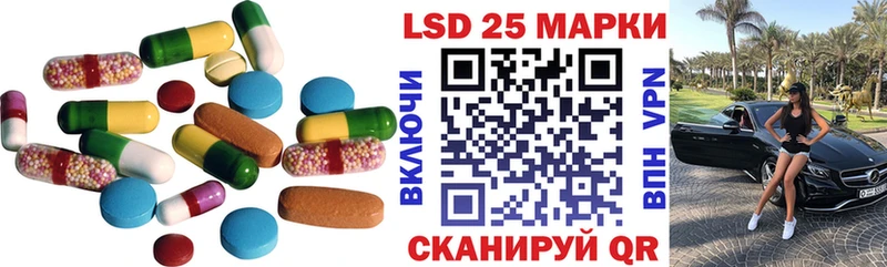 darknet как зайти  Новопавловск  LSD-25 экстази кислота  OMG онион 