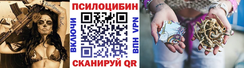 Галлюциногенные грибы Psilocybe где купить Новопавловск