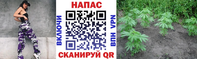 Каннабис марихуана  МЕГА ССЫЛКА  Новопавловск  купить закладку 